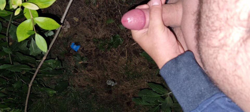 16630383029776649652303575254740.jpg - WyssamCie69