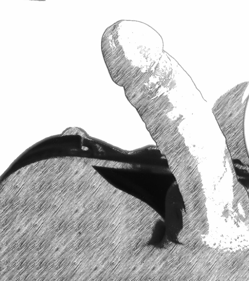 IMG_20220913_144057.jpg - lukasz3017