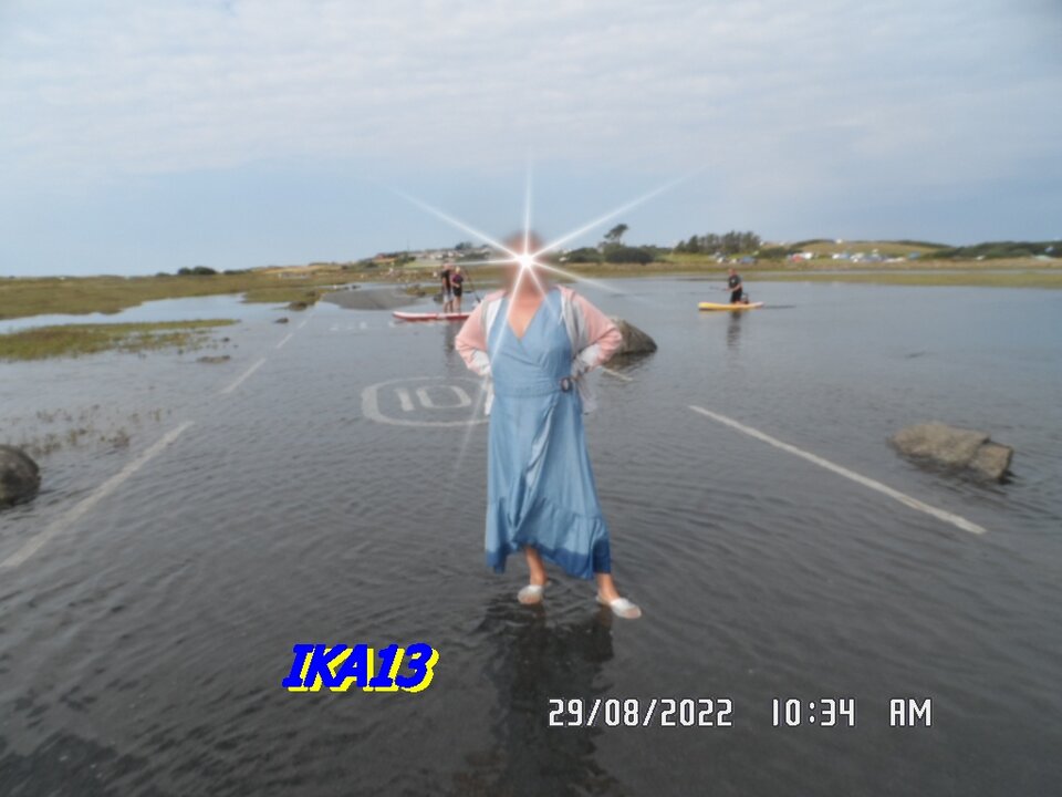 SAM_4182.JPG - ika13