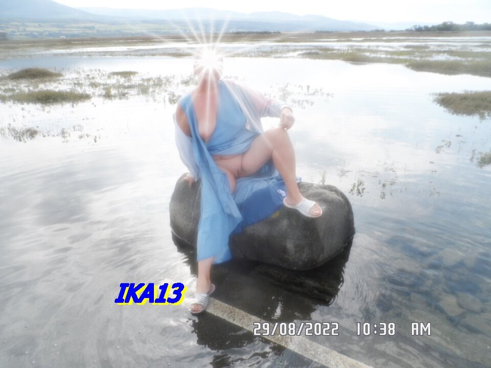 SAM_4186.JPG - ika13