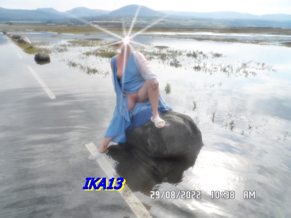 SAM_4187.JPG - ika13