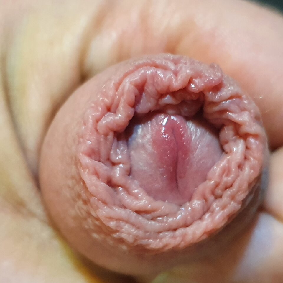 20220914_060710.jpg - Wysoki28