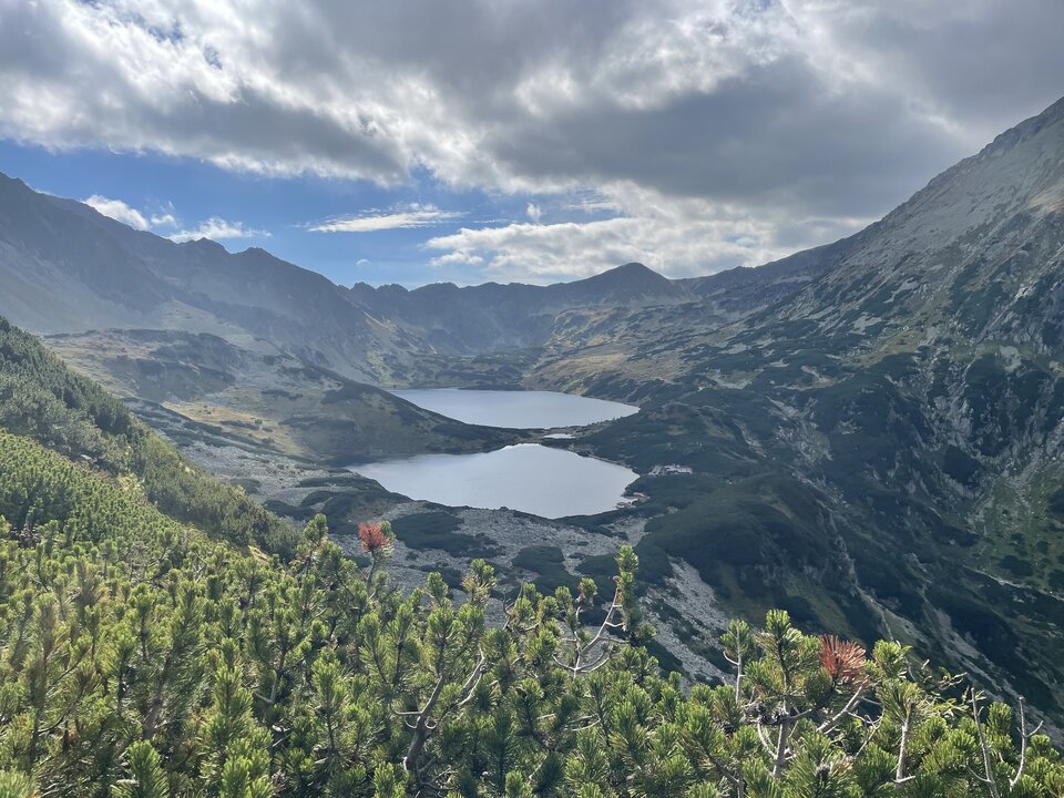 816DE1CB-FBD9-4EA2-905F-5610A86A2766.jpeg - jacuswroc