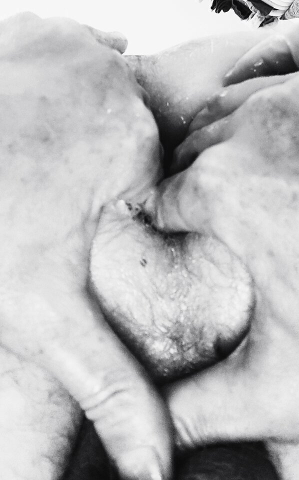 IMG_20220914_213210.jpg - belton50000