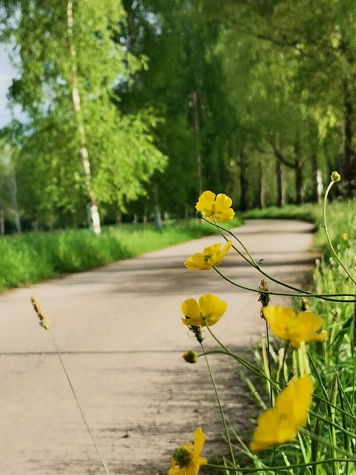 IMG_20220516_082139.jpg - gregor8014