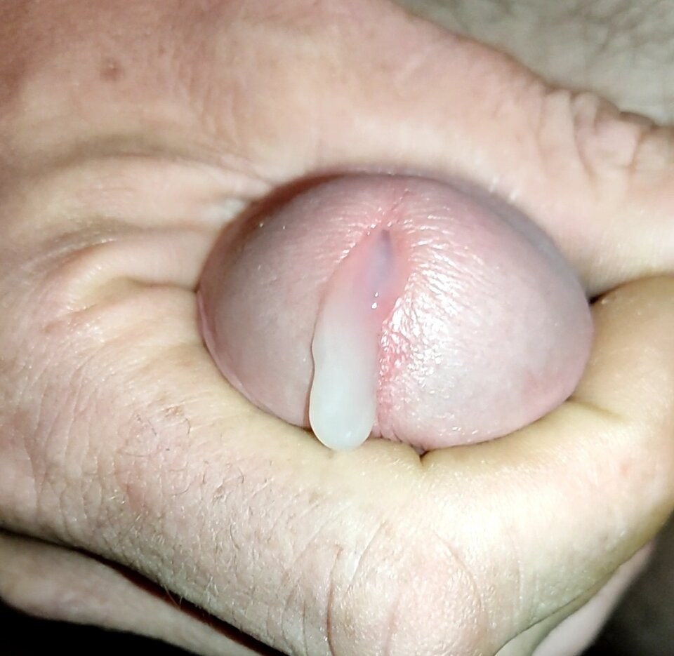 IMG_20220905_103430.jpg - JacaSeks1974