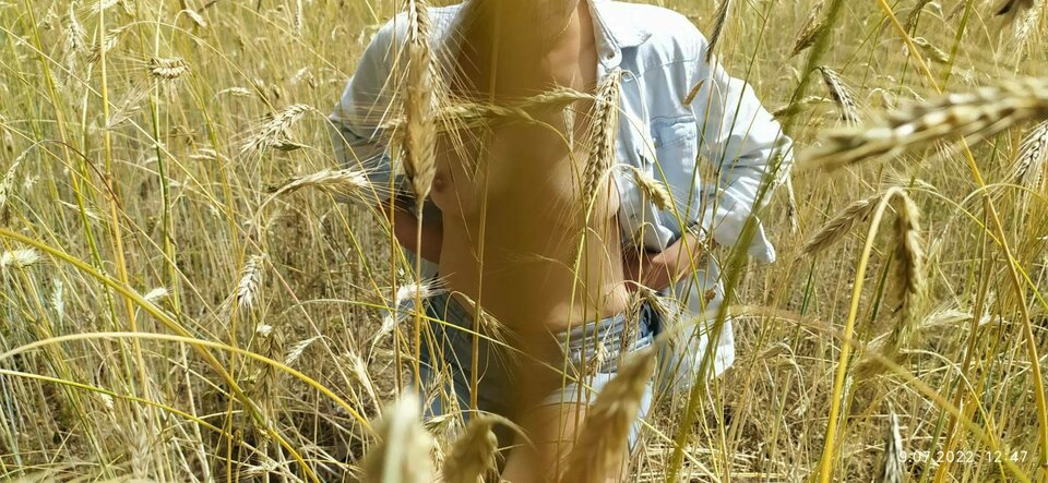 signal-2022-09-15-22-09-06-659.jpg - AnKar2022