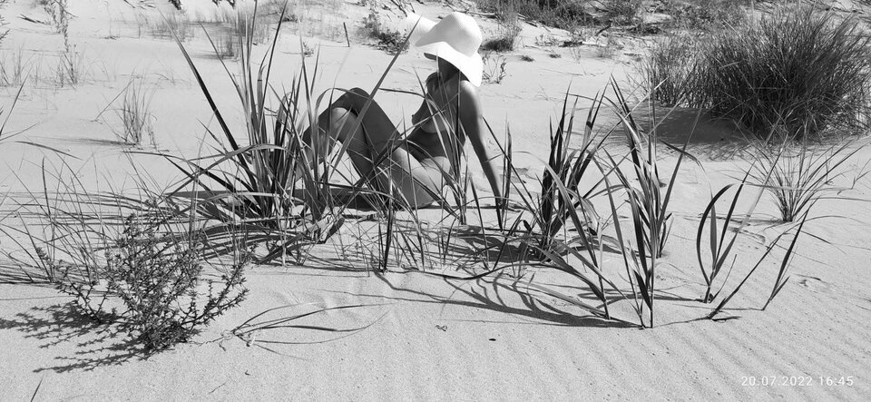 signal-2022-09-15-22-08-39-250.jpg - AnKar2022