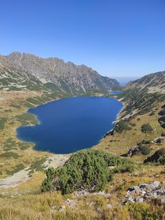 IMG_20210909_121959.jpg