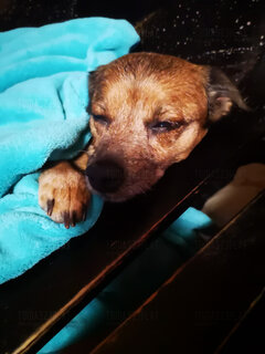 Mój dzisiejszy... nastrój;)