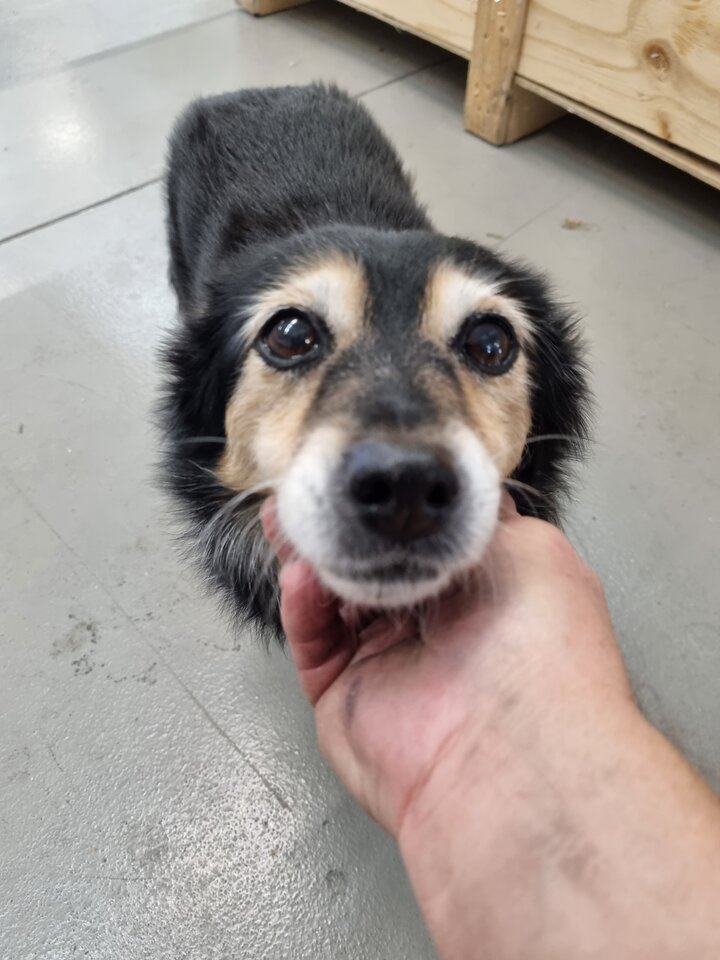 20220916_105724.jpg - ciekawy62