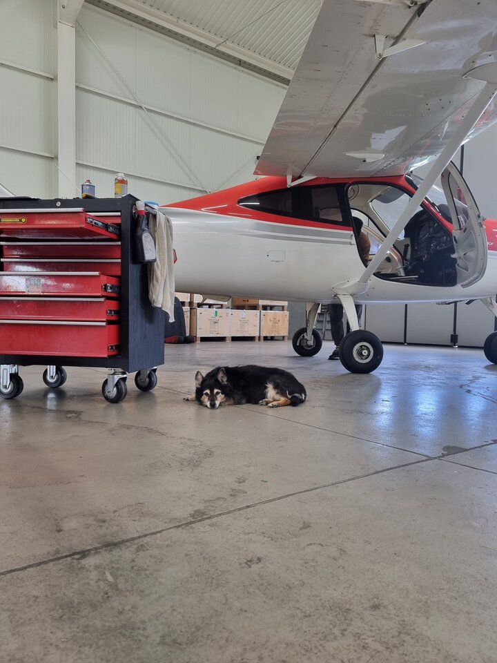 20220916_115604.jpg - ciekawy62