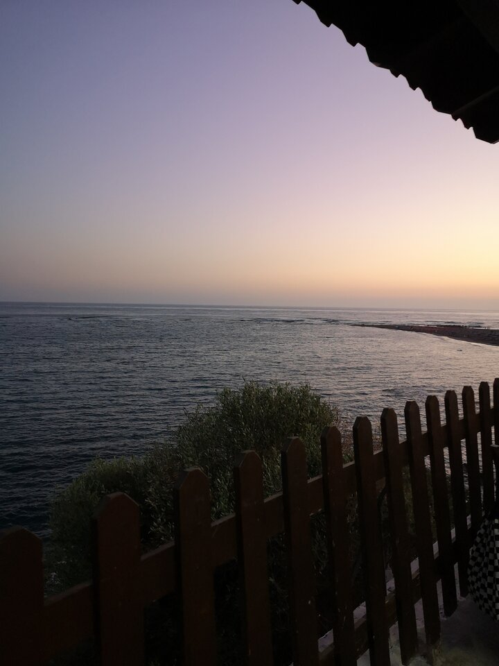 IMG_20220817_202521.jpg - Vaffa