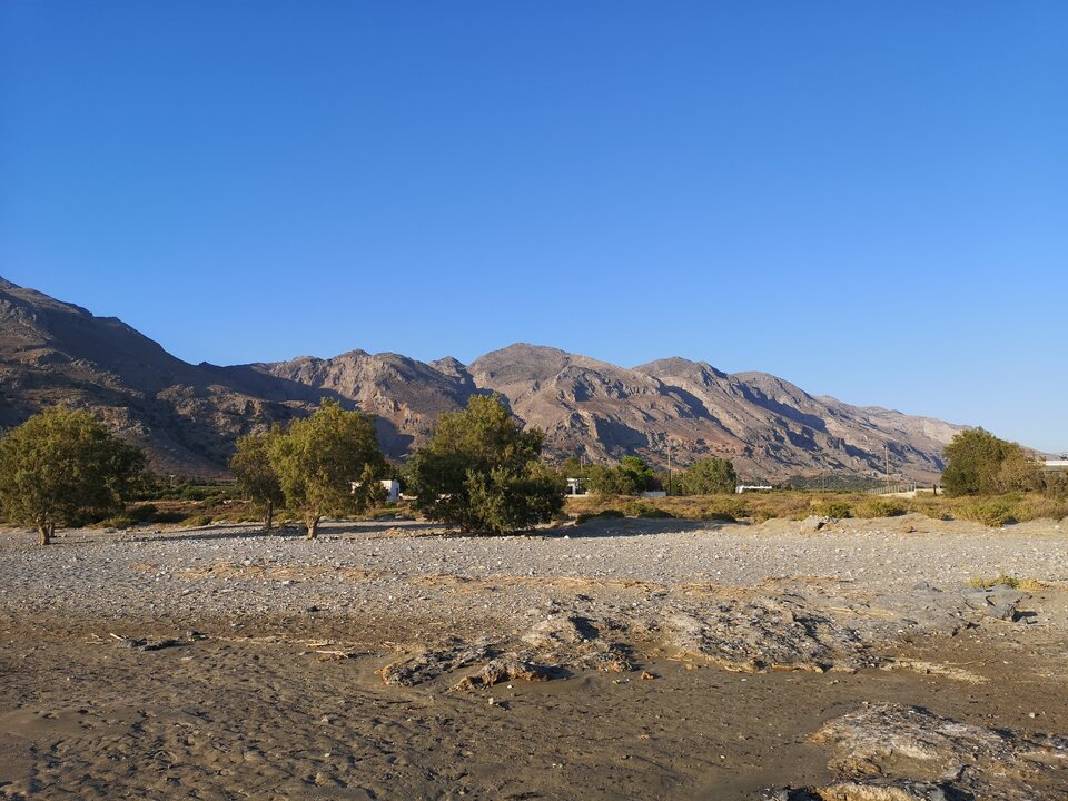 IMG_20220815_190341.jpg - Vaffa