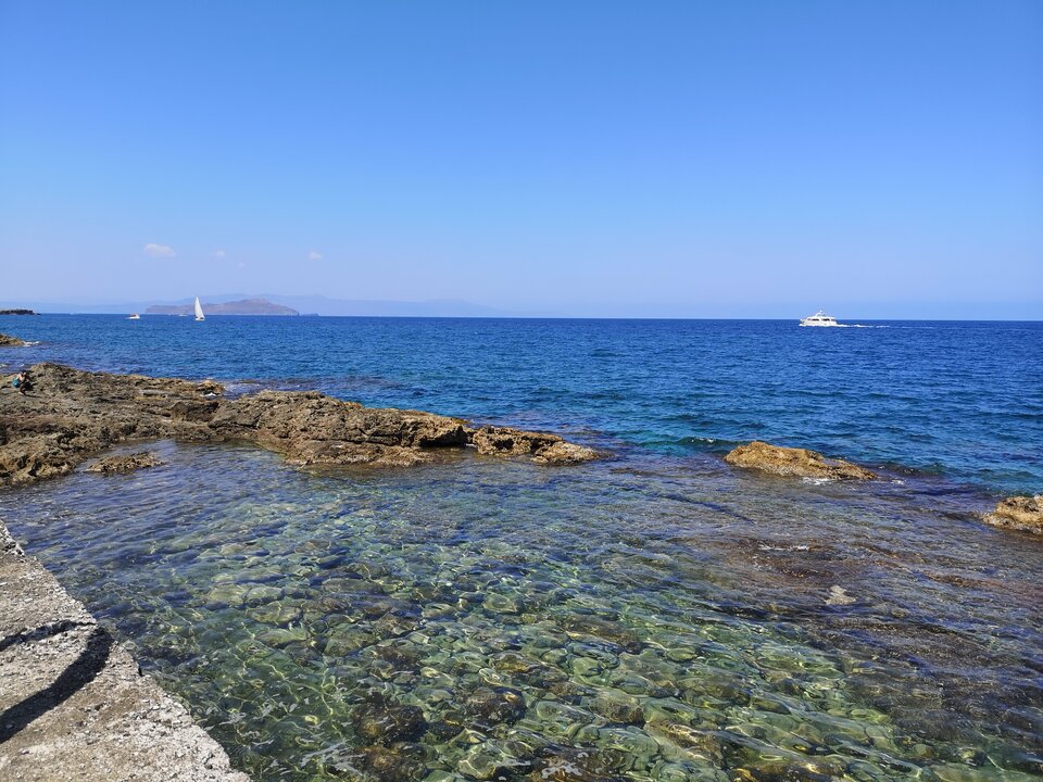 IMG_20220828_130317.jpg - Vaffa