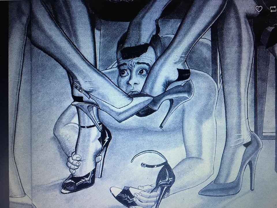 FB_IMG_1663402739394.jpg - RajstopyZony