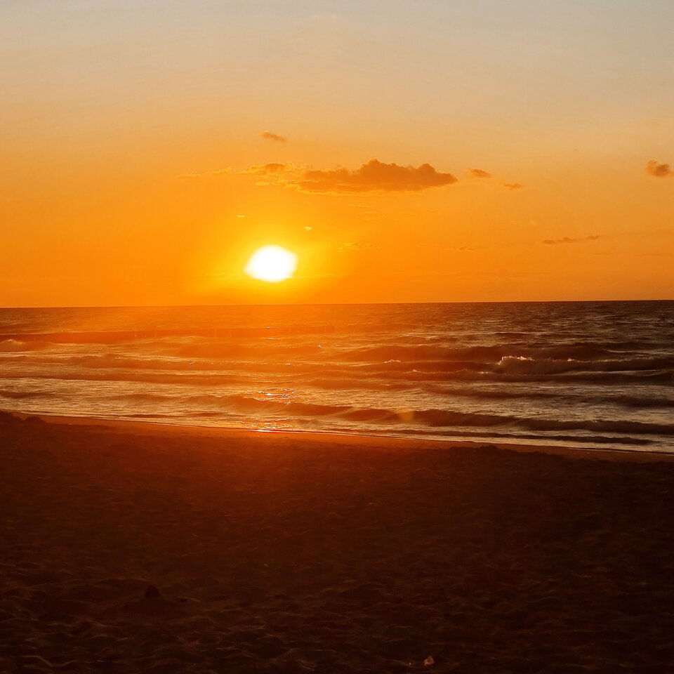 IMG_20220806_203543.jpg - Ralph40