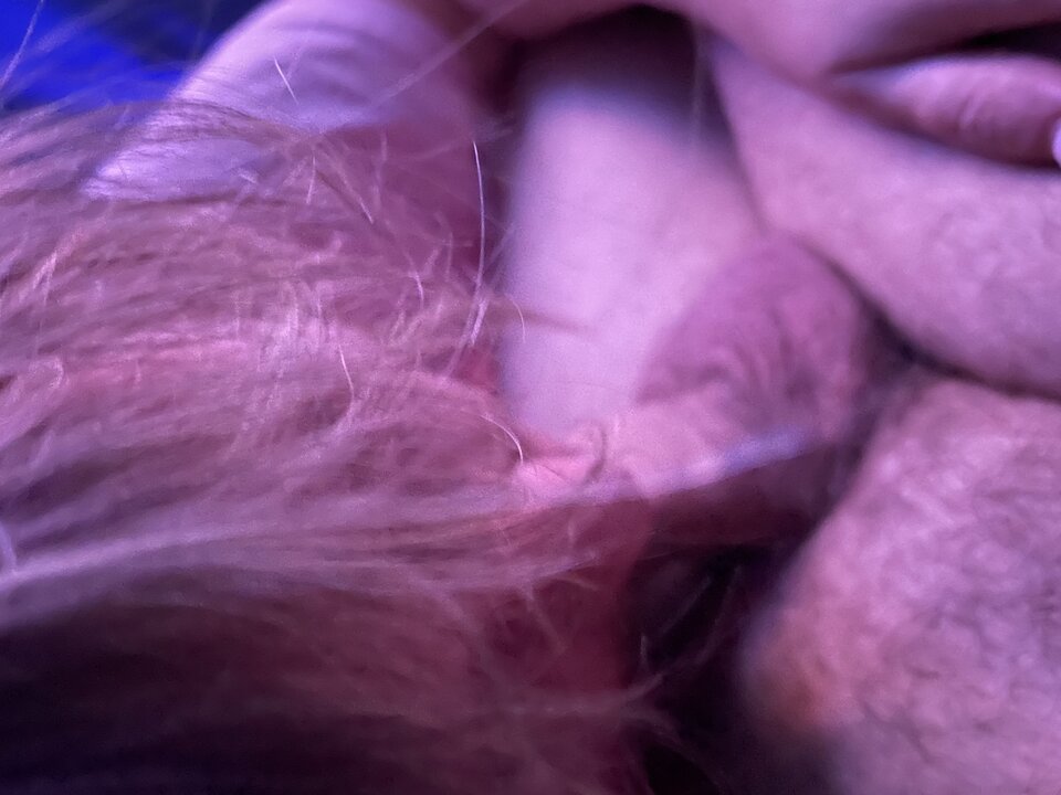 8DEB7AC9-B230-47FA-9151-94343193DFB9.jpeg - Kluseczki7876