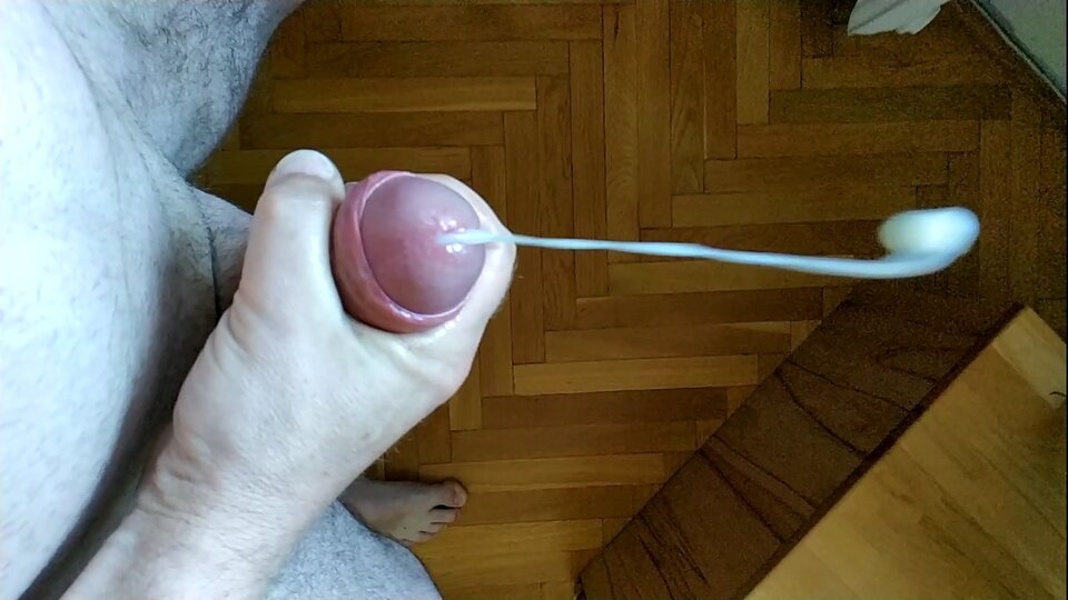 sperm05.jpg - bi32slupsk