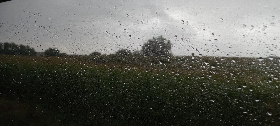 IMG_20220918_103040460.jpg - NiebieskaPani