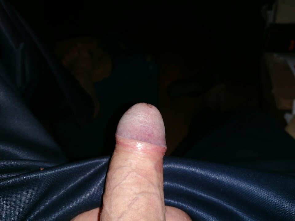 IMG_20220917_184535.jpg - ciastek123444