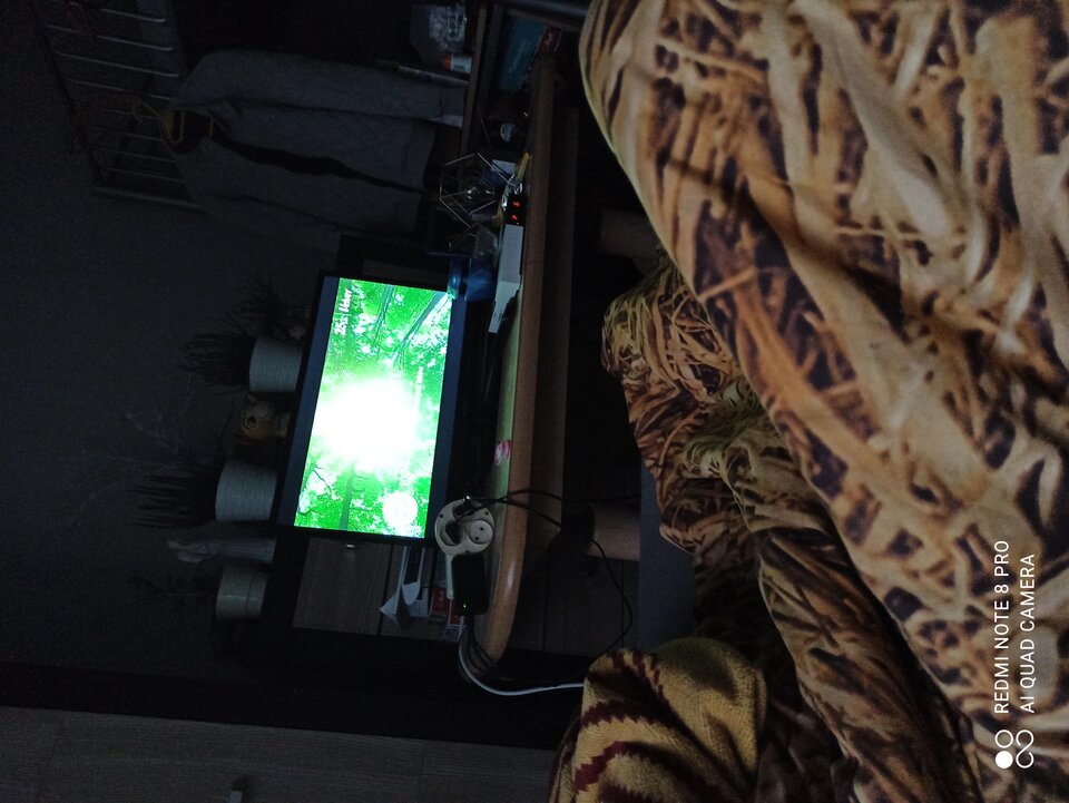 IMG_20220918_181845.jpg - wolnyjakPtaszek