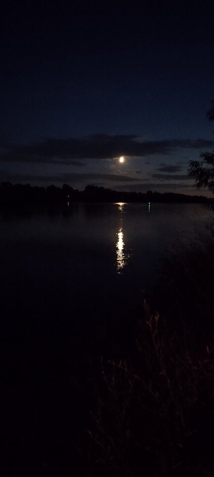 IMG_20220902_202441.jpg - delux31