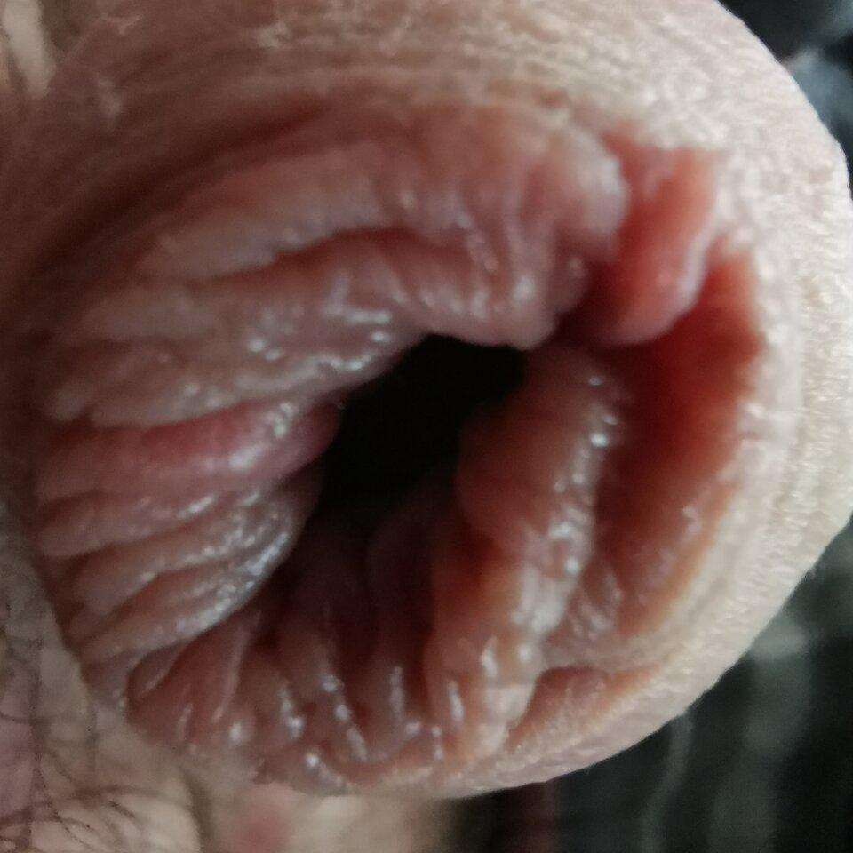 IMG_20220919_130821.jpg - Zi0001