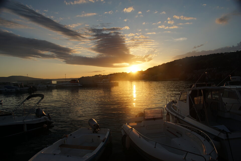 DSC05076.JPG - dziki42