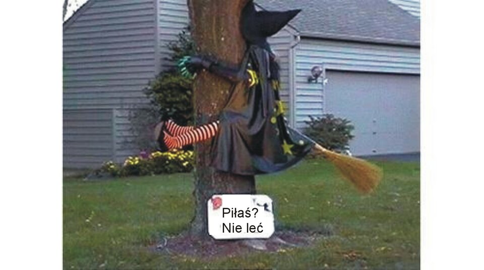 Czarownica - Voyager07