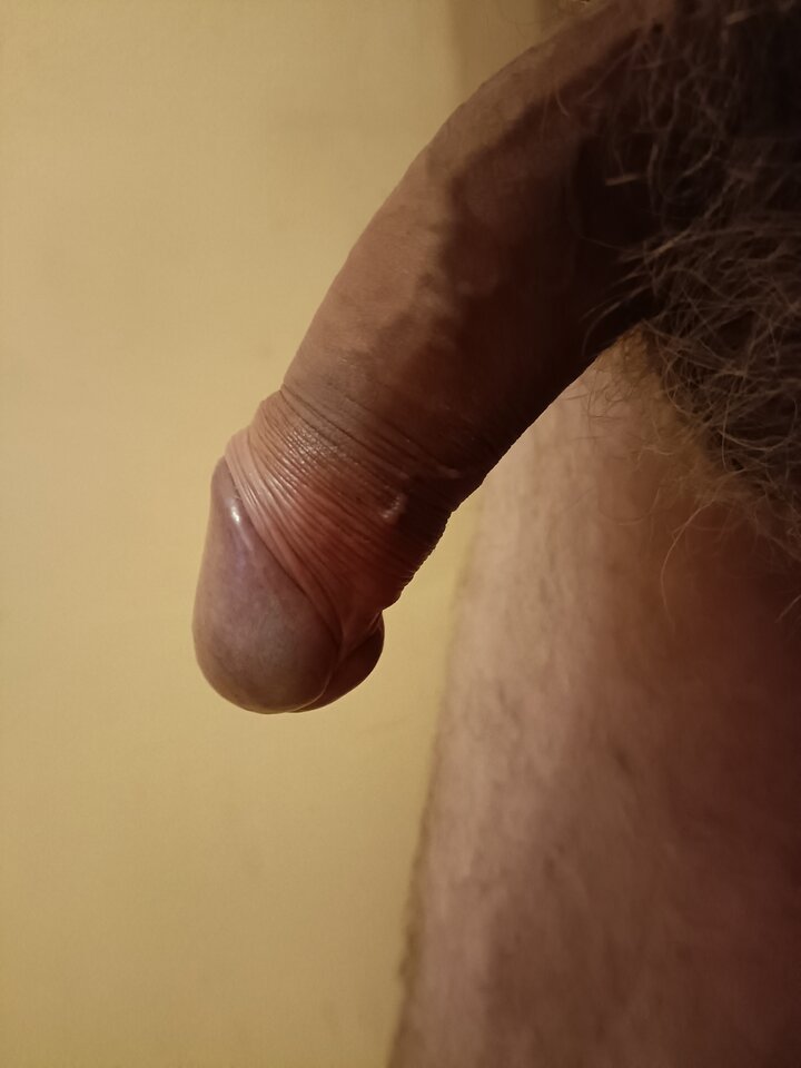 16636502271831273043461964287027.jpg - ardas1