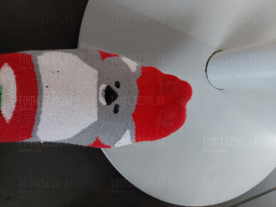 Sezon na koala uważam za ... otwarty ;) - Tomasz39lat