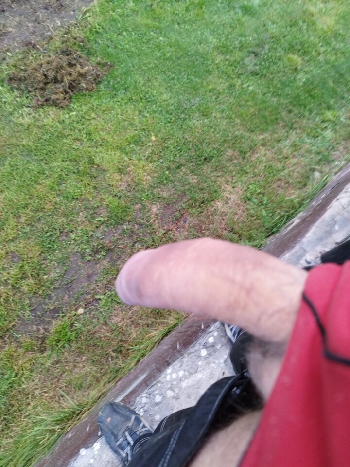 16636907962625151582561213582623.jpg - Lolek2018