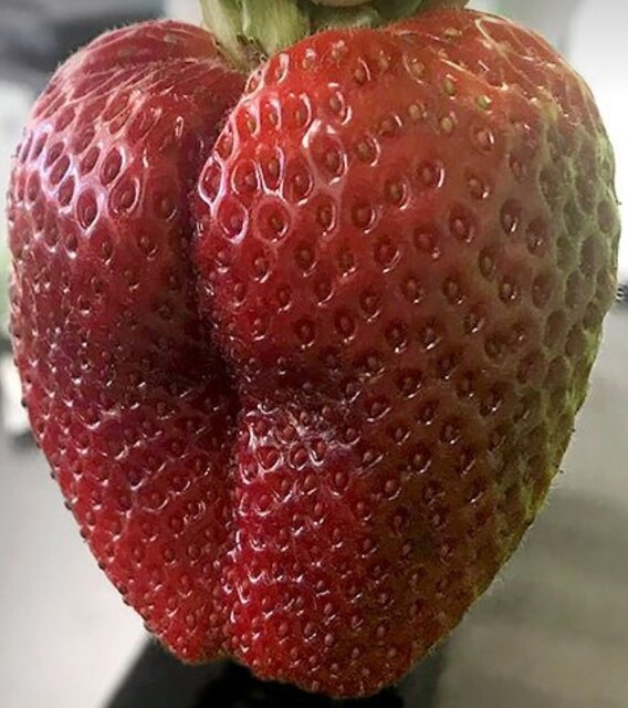 Screenshot_20220921_053216.jpg - cube1981