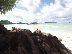 DSCF0288.JPG