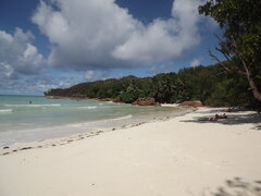 DSCF0290.JPG
