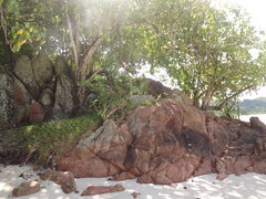 DSCF0287.JPG