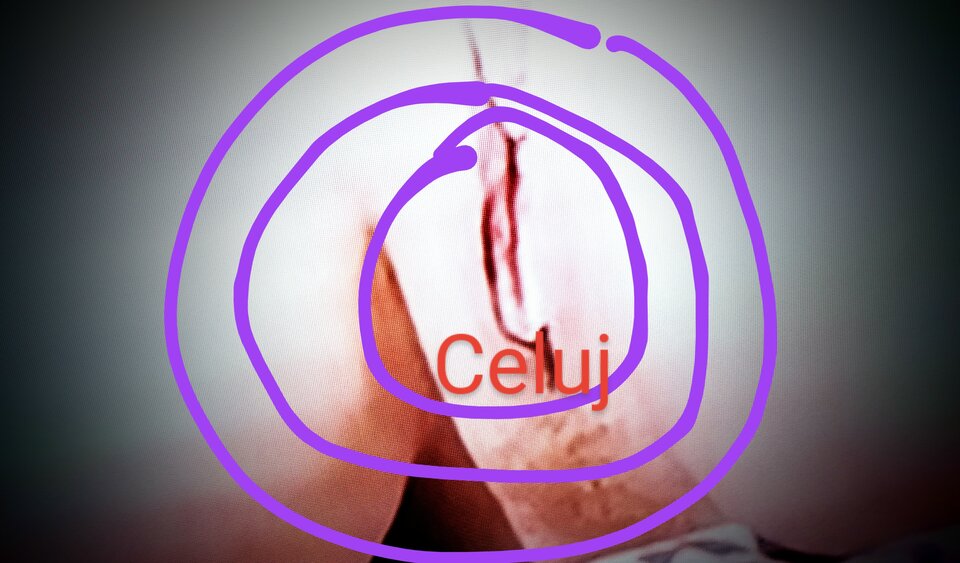 IMG_20220921_123740~2.jpg - KG1977