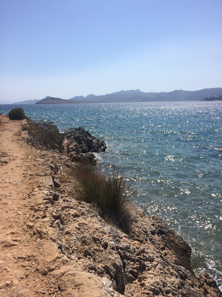 IMG_4944.JPG - BIGMANNN