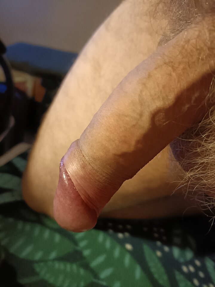 16637829984378708220492866325858.jpg - ardas1