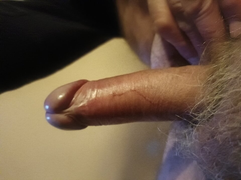 16637831624078811117943471103491.jpg - ardas1