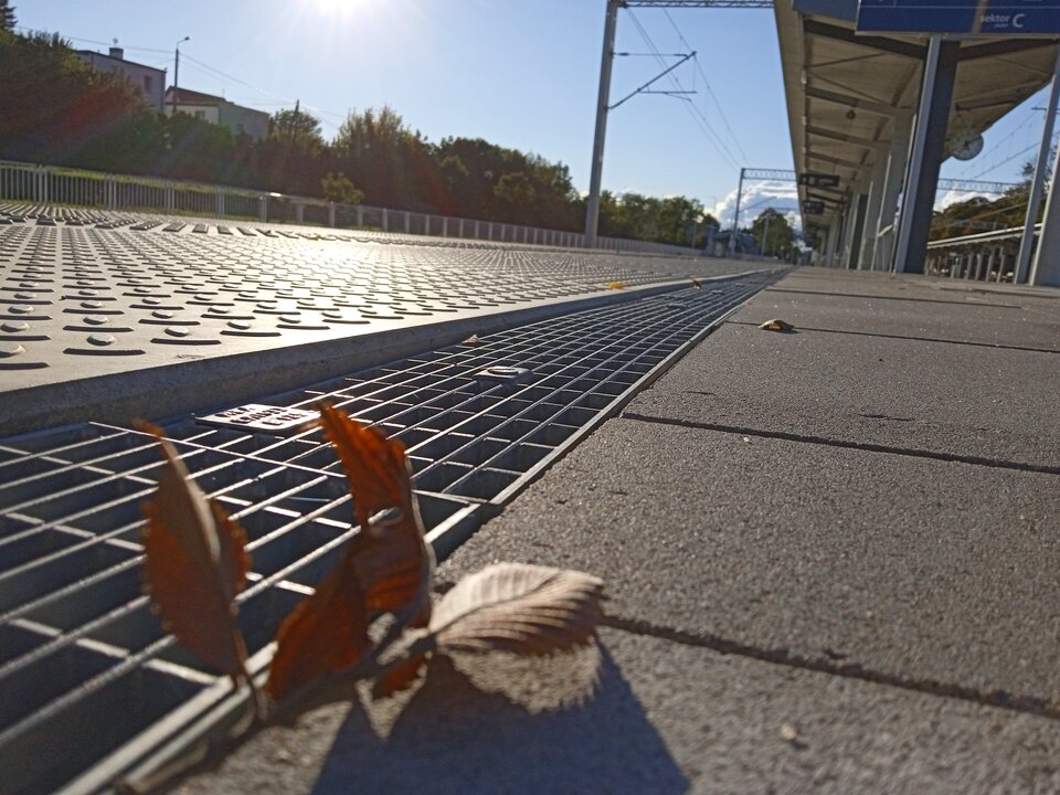 IMG_20220920_170933_1.jpg - Ina69