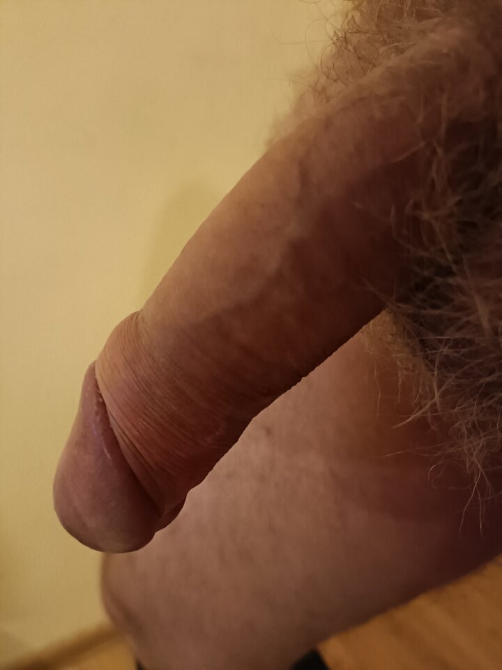 16638190078748764284757613705537.jpg - ardas1