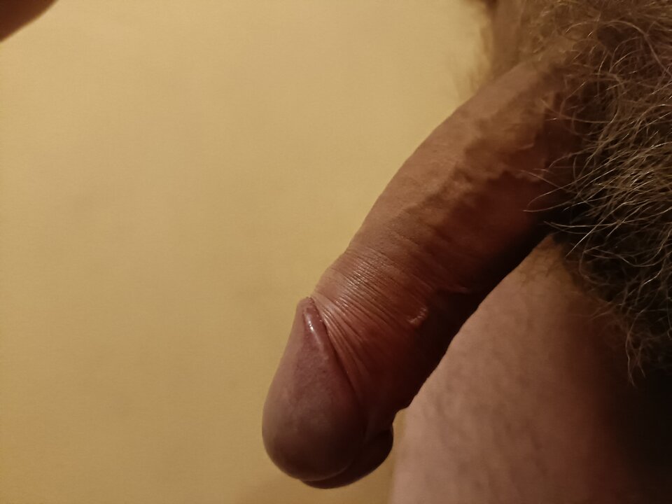 16638190404484808657448320024982.jpg - ardas1