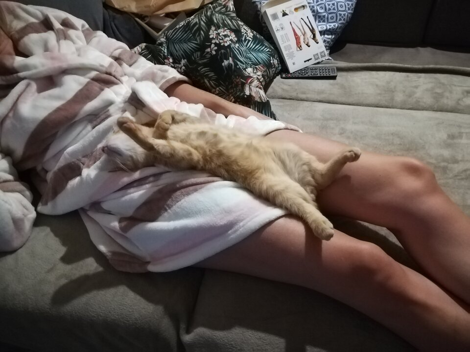 IMG_20220921_221349.jpg - Naturystahetero