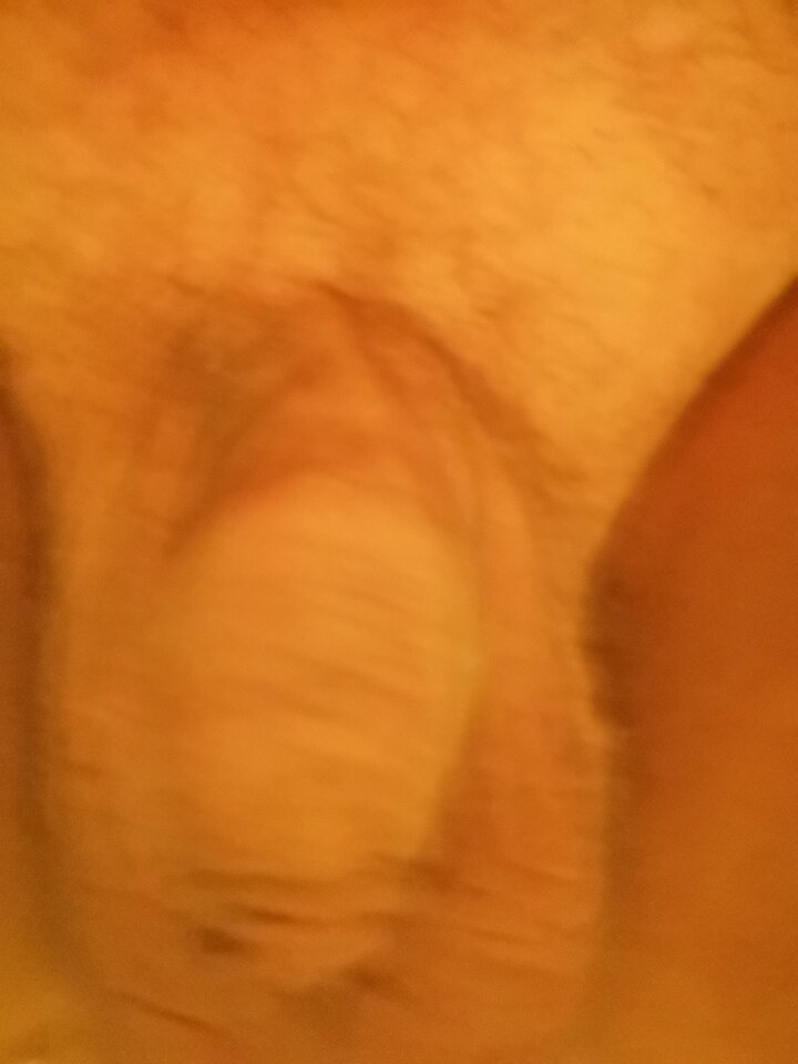 1663873427076118031506455911327.jpg - jajaReno