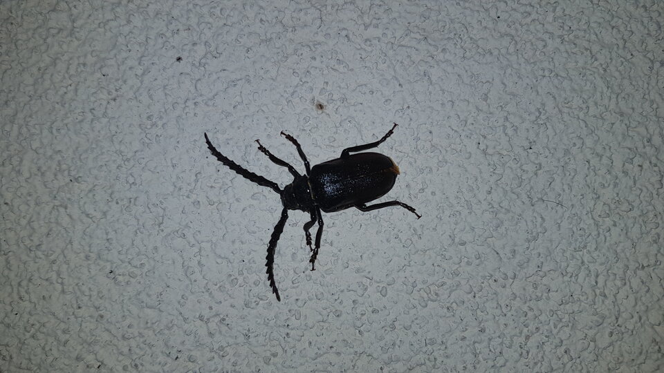 20210717_212258.jpg - mariolka99