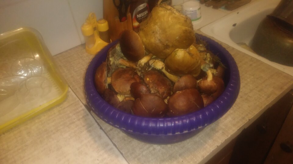 20220923_114801.jpg - KG1977