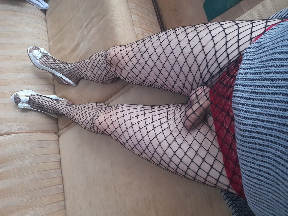 20220907_112539.jpg - Tygrys4040