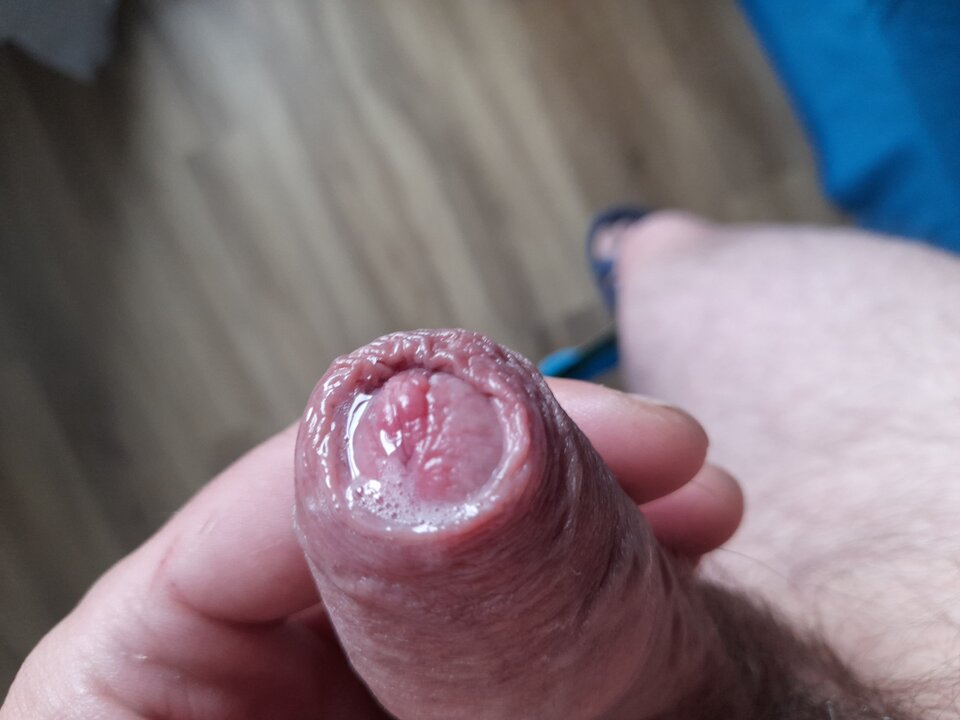 20220716_091635.jpg - Tygrys4040